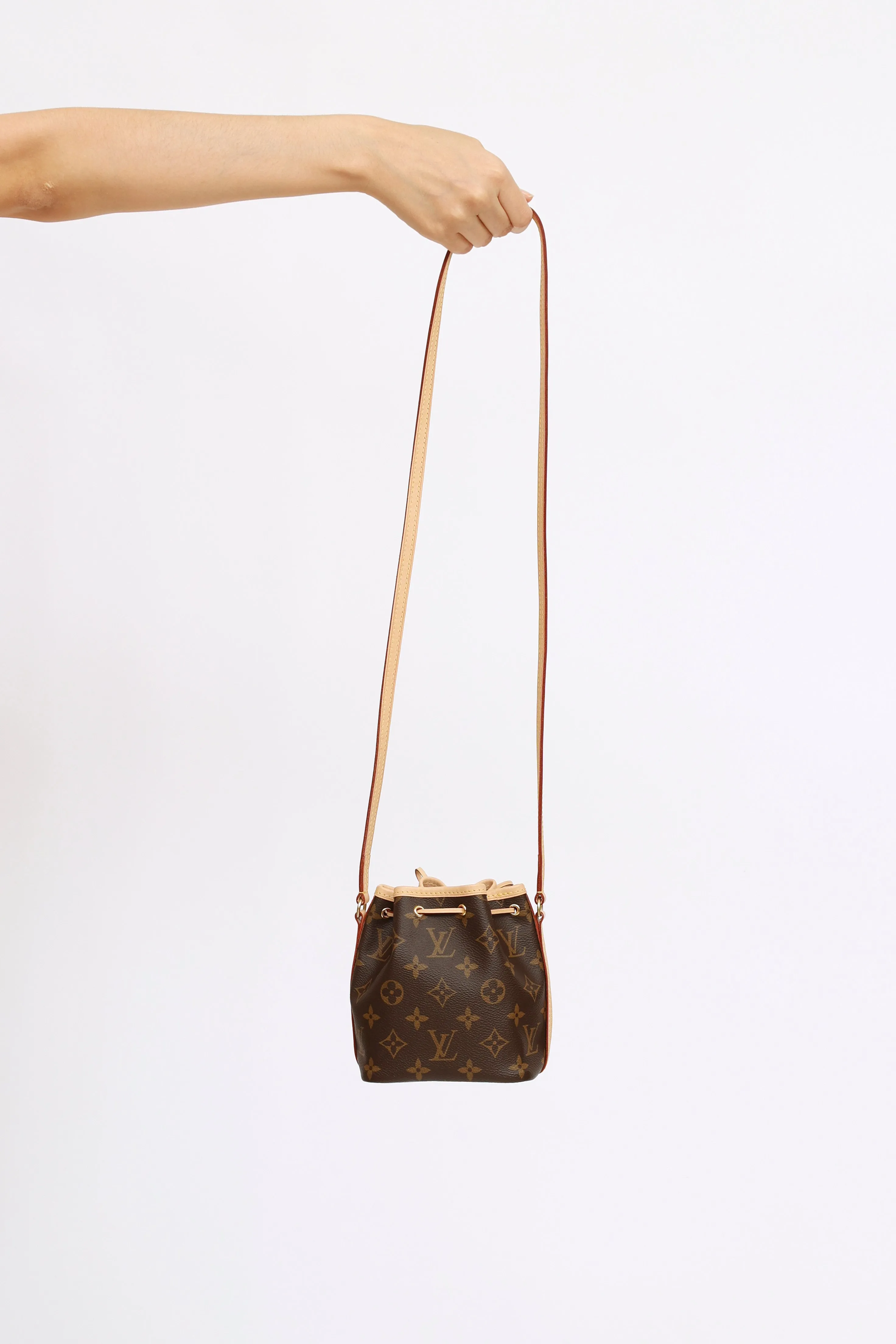 Brown Monogram Nano Noé Bag